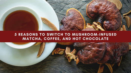 5 Reasons to Switch to Mushroom-Infused Matcha, Coffee, and Hot Chocolate - Mushendo Organic Farm