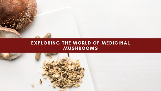 Exploring the World of Medicinal Mushrooms: From Ancient Remedies to Modern-Day Elixirs - Mushendo Organic Farm