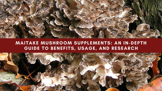 Maitake Mushroom Supplements: An In-Depth Guide to Benefits, Usage, and Research - Mushendo Organic Farm