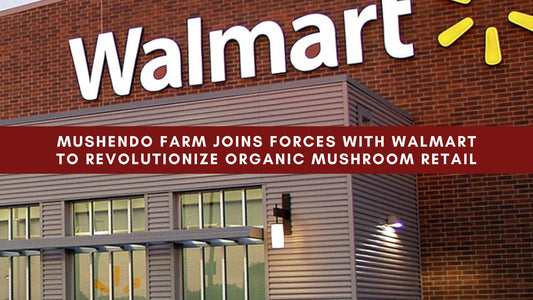 Mushendo Farm Joins Forces with Walmart to Revolutionize Organic Mushroom Retail - Mushendo Organic Farm