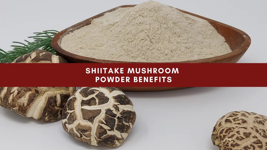 Shiitake Mushroom Powder Benefits - Mushendo Organic Farm