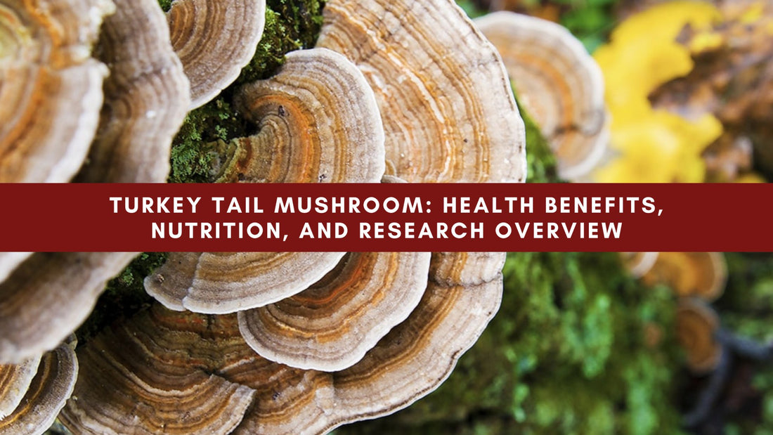 Turkey Tail Mushroom: Health Benefits, Nutrition, and Research Overview - Mushendo Organic Farm