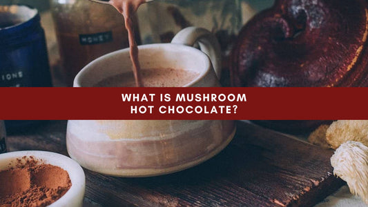 What is Mushroom Hot Chocolate? - Mushendo Organic Farm