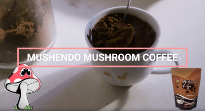 Mushendo 6 Mushroom Coffee | 3.02 Oz (87.5 G) | 35 Servings